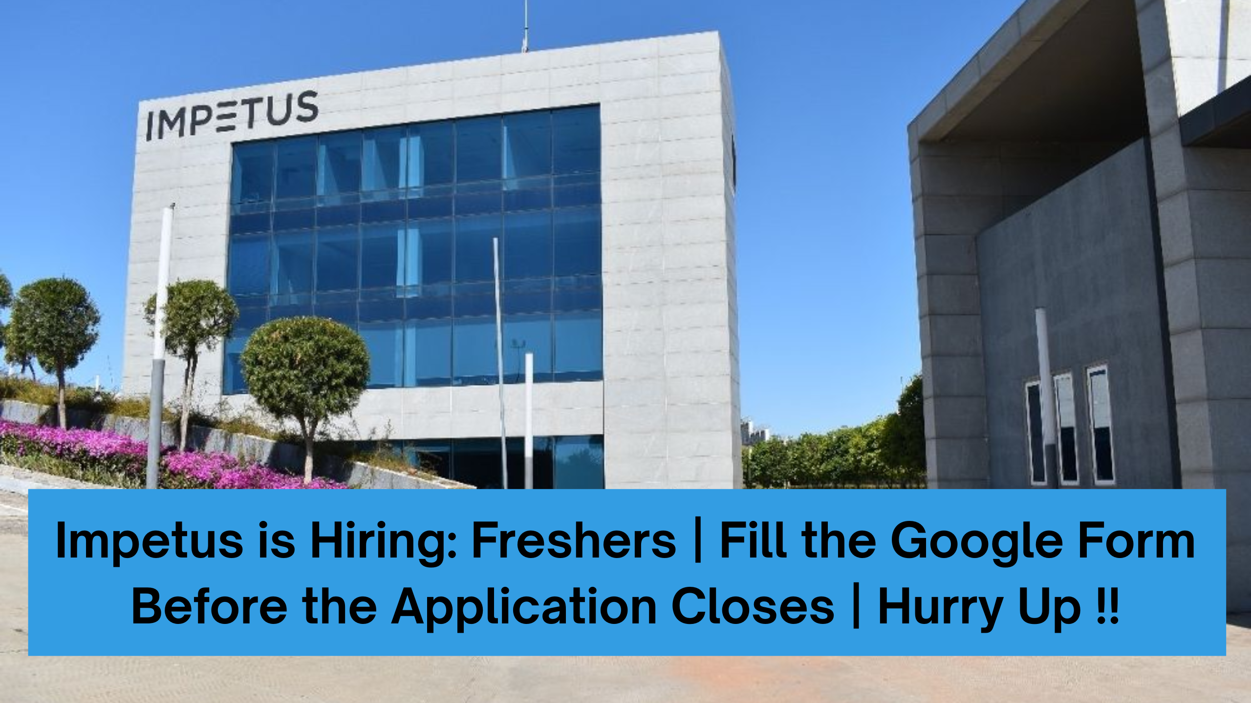 Impetus is Hiring: Freshers | Fill the Google Form Before the Application Closes | Hurry Up !!